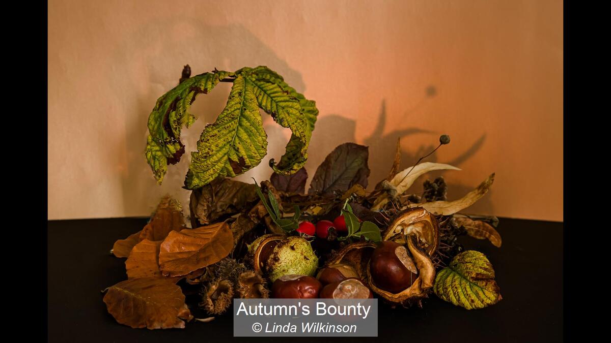 Autumn's Bounty